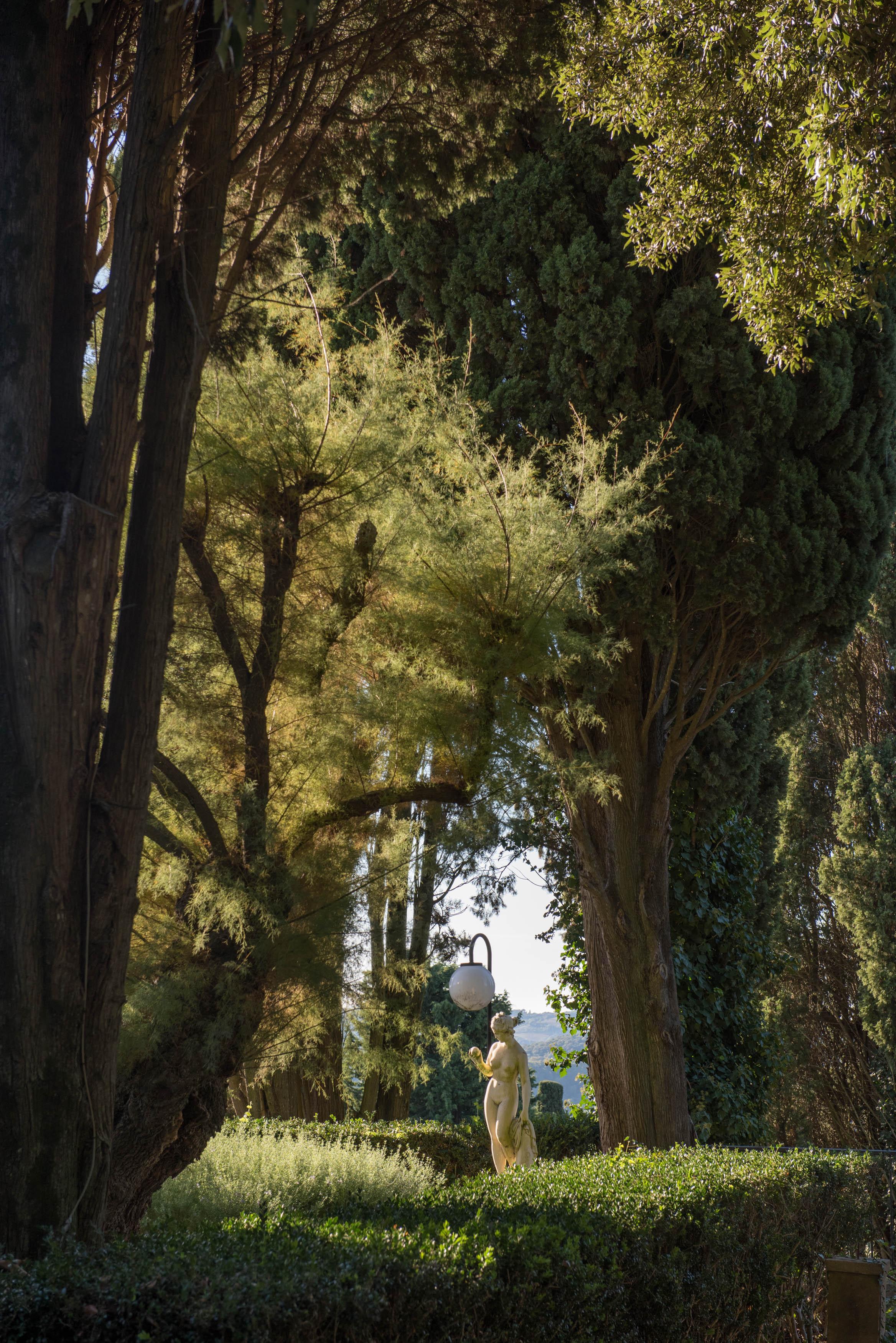 Tenuta La Bandita Sassetta Luaran gambar