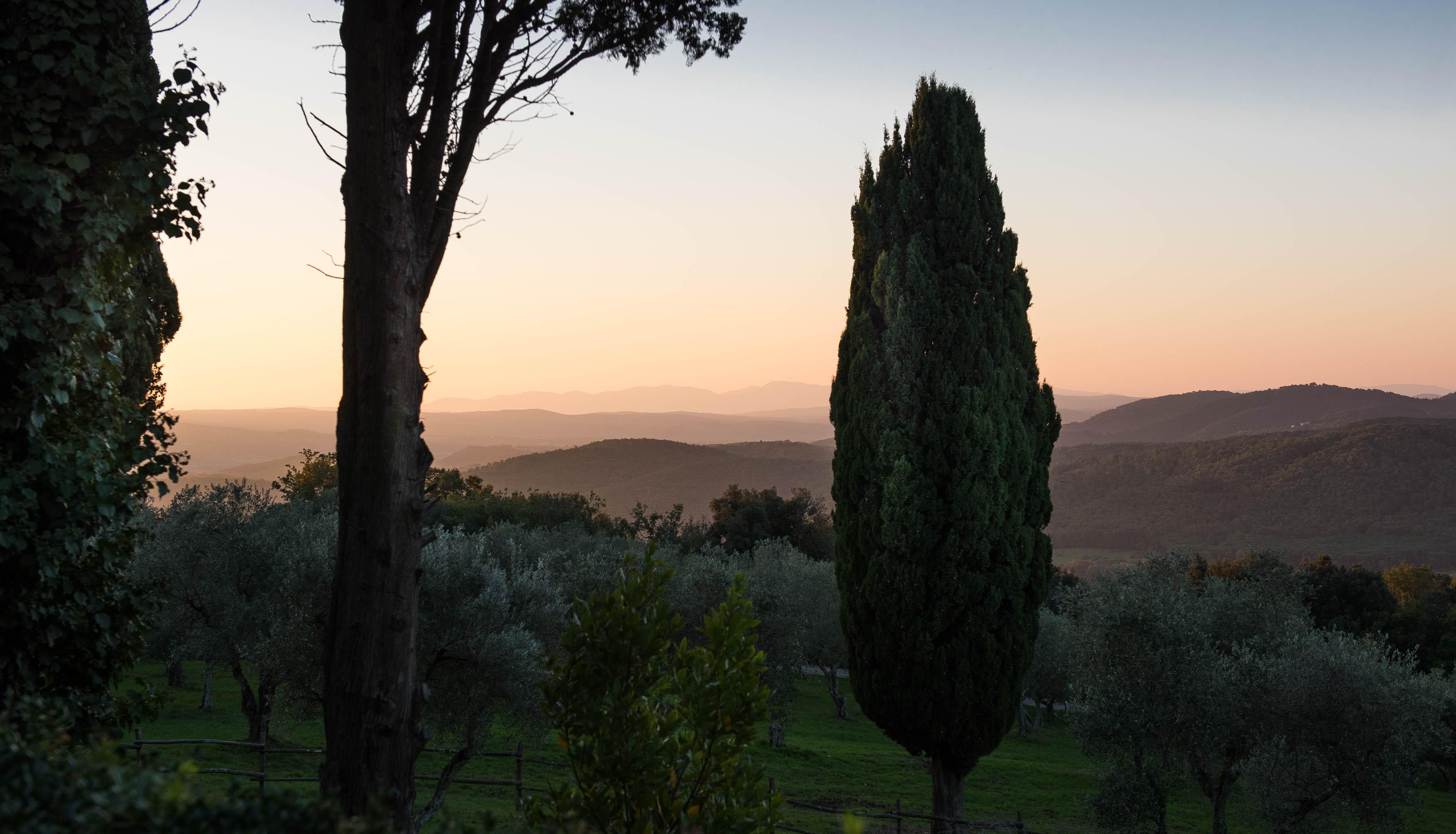Tenuta La Bandita Sassetta Luaran gambar