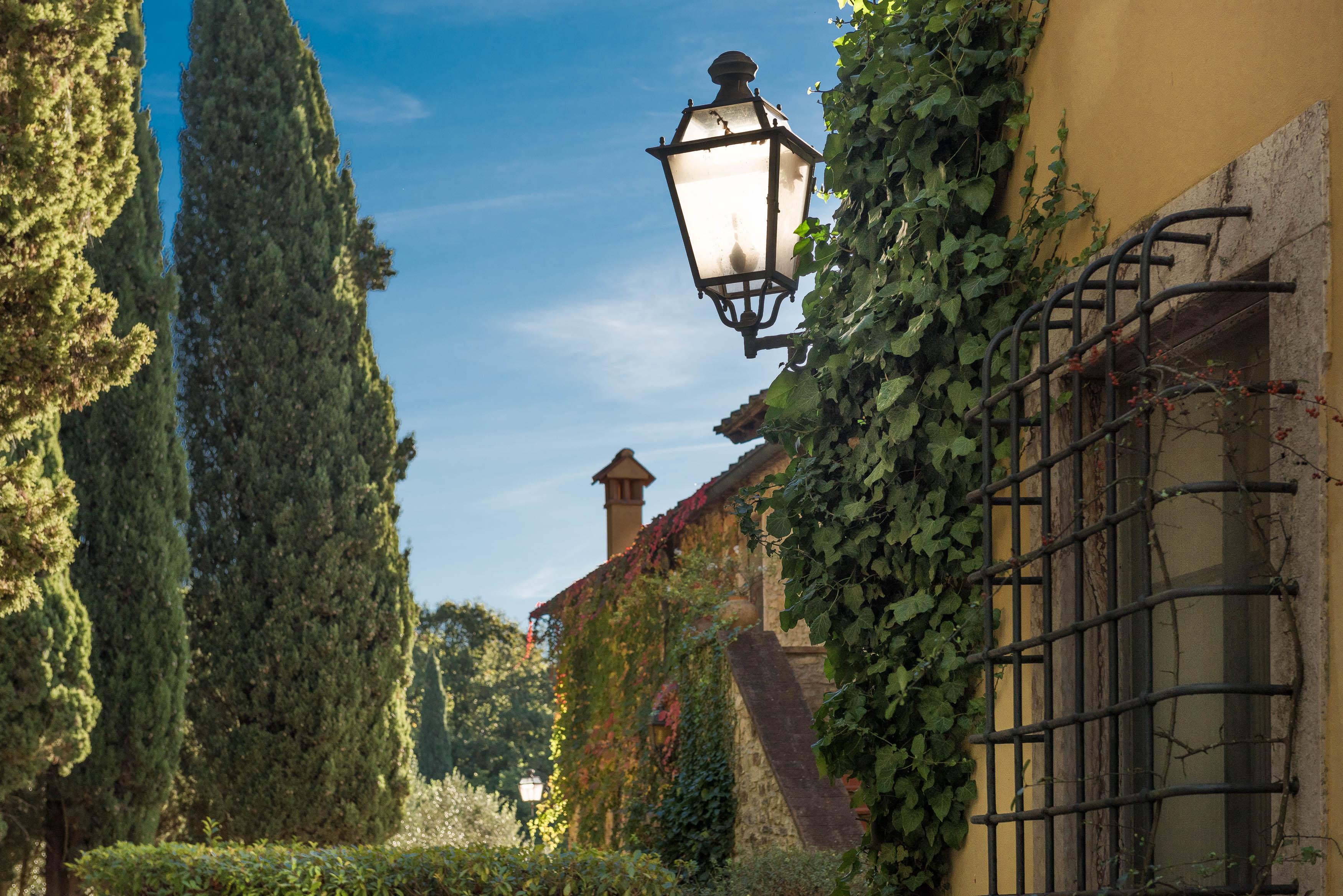 Tenuta La Bandita Sassetta Luaran gambar