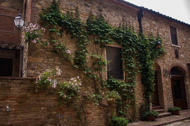 Tenuta La Bandita Sassetta Luaran gambar