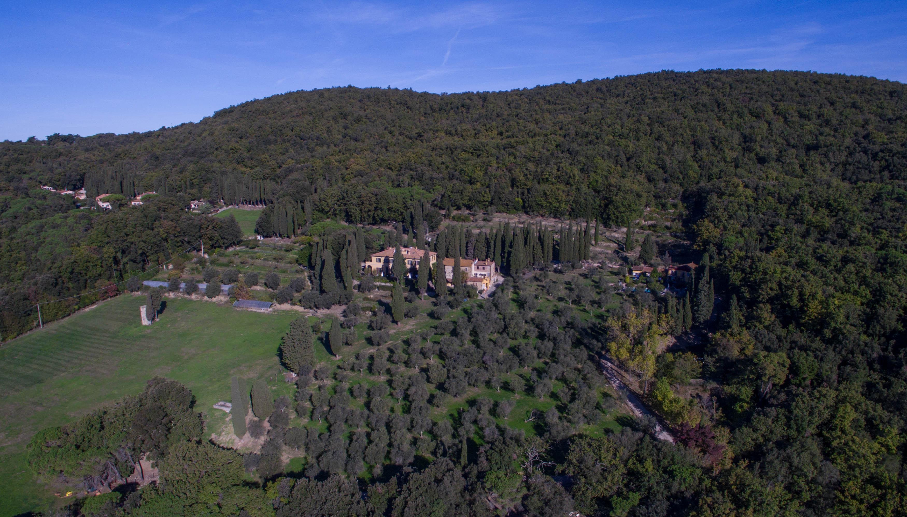 Tenuta La Bandita Sassetta Luaran gambar